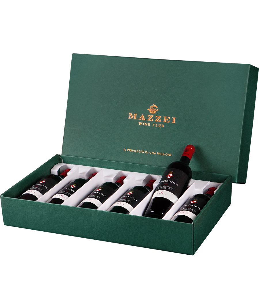 Box Mazzei Wine Club - 6 Bottles